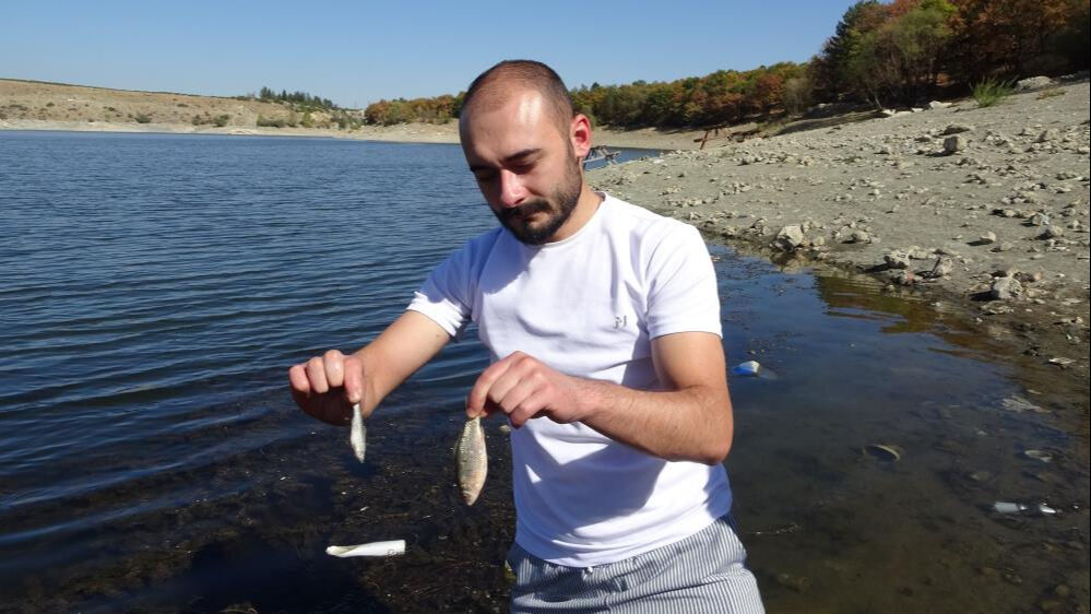 Baraja kimyasal madde mi döküldü? Kütahya'da korkutan balık ölümleri - 1. Resim