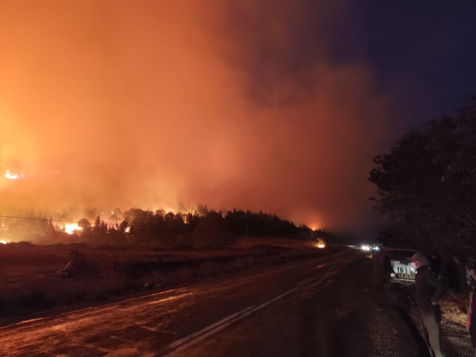 Bursa'da korkutan orman yangını! Alevler, rüzgarın etkisiyle yerleşim yerlerine ilerliyor - 1. Resim