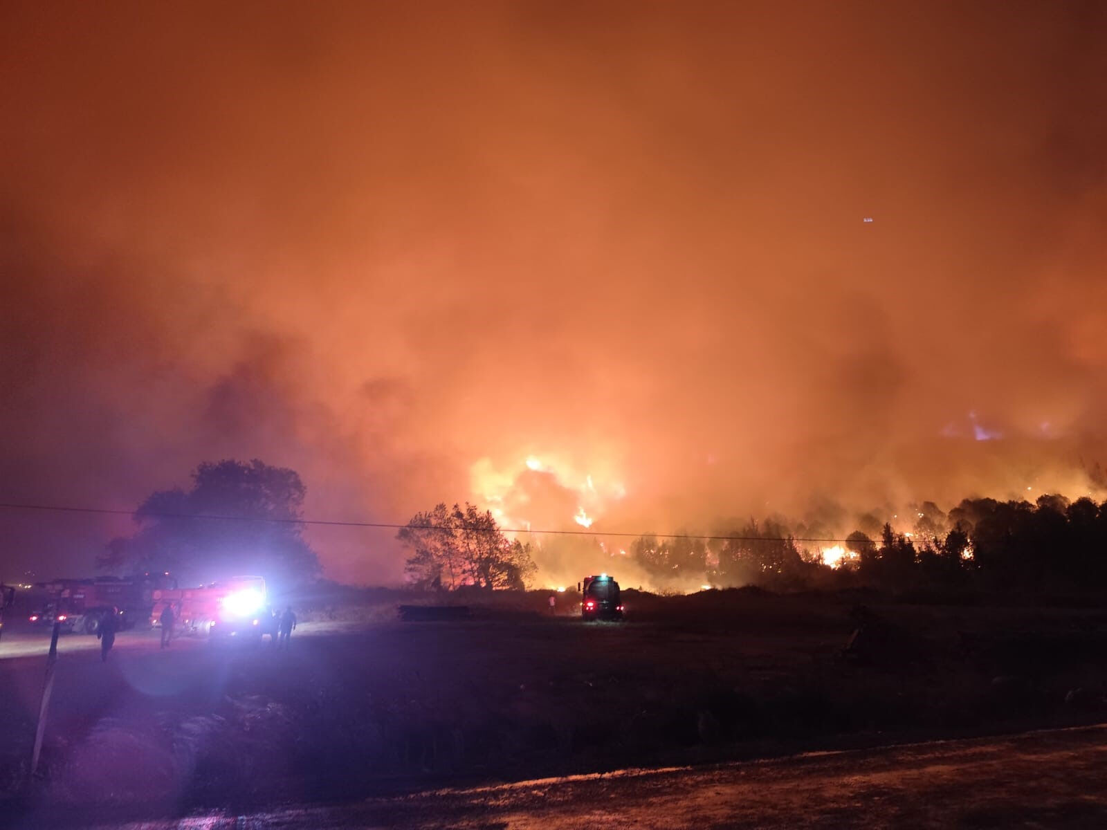 Bursa'da korkutan orman yangını! Alevler, rüzgarın etkisiyle yerleşim yerlerine ilerliyor - 2. Resim