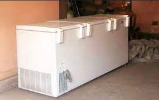 Japonya'da korkunç olay! Kızının cesedini 20 yıl boyunca derin dondurucuda sakladı - 1. Resim