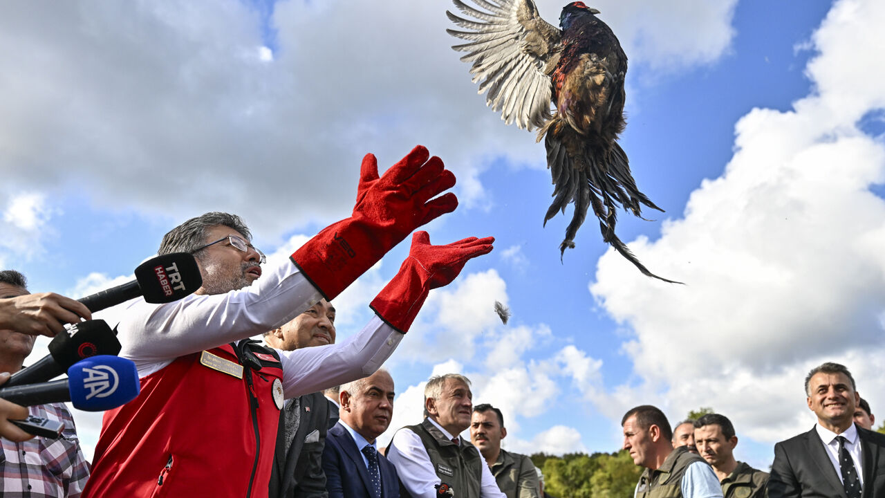Tarım ve Orman Bakanı Yumaklı'dan 'İsrail tohumu' iddialarına net cevap - 1. Resim