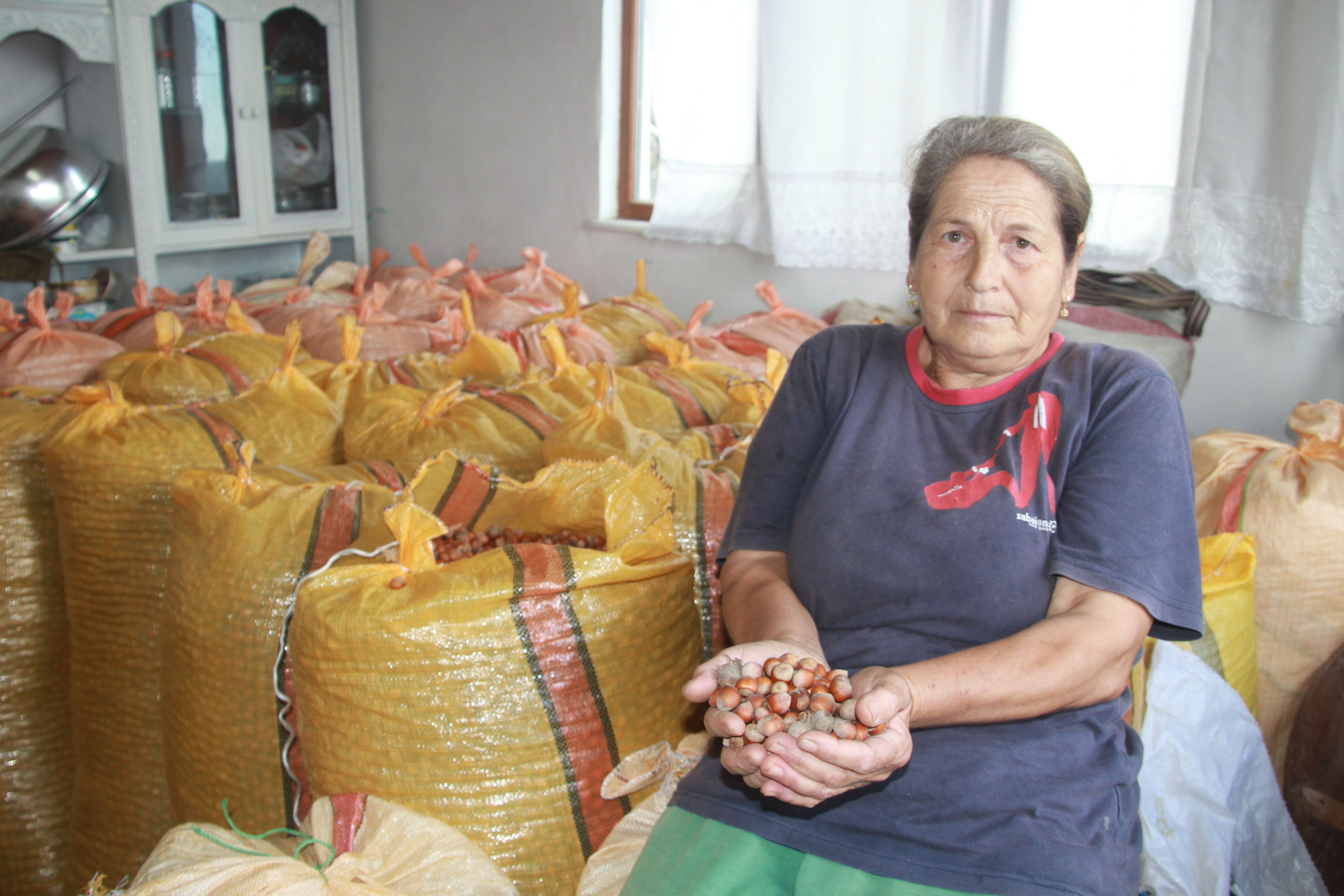 Üreticiler depolarda saklıyor! Fındıkta '500 lira' beklentisi - 1. Resim
