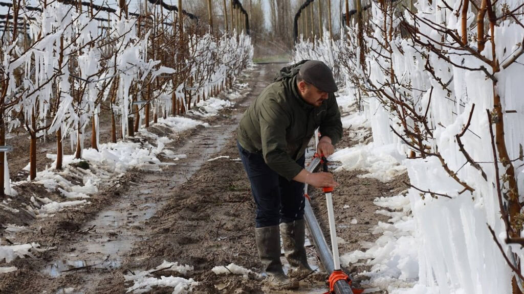 Zirai don ödemeleri ne zaman, ne kadar yatacak? 2025 Zirai don desteği şartları gündemde - 1. Resim