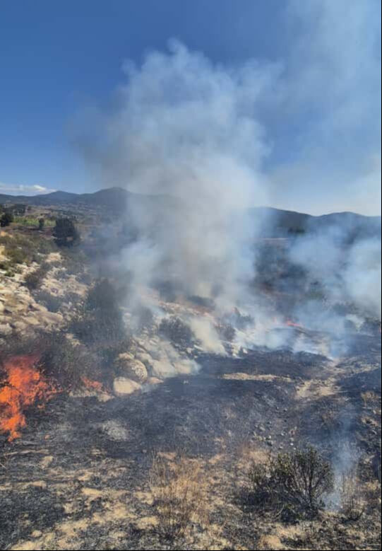 Bursa'da ormanlık alanda yangın! Ekipler b&ouml;lgede - 1. Resim