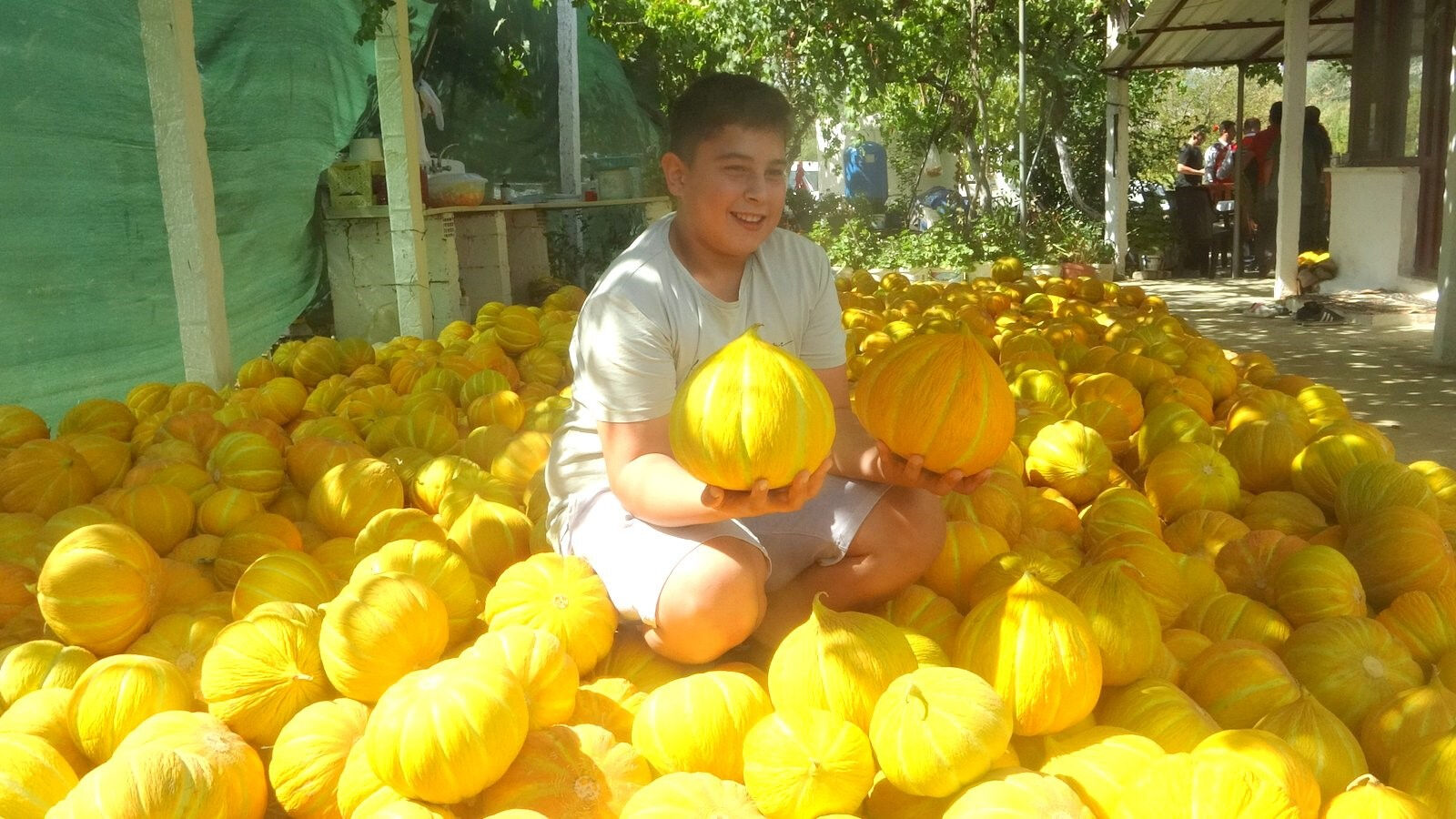 Çıkılmayıp inilen yaylada yüz yıllık miras! 'Yayla Kavunu' coğrafi işaret yolunda - 3. Resim