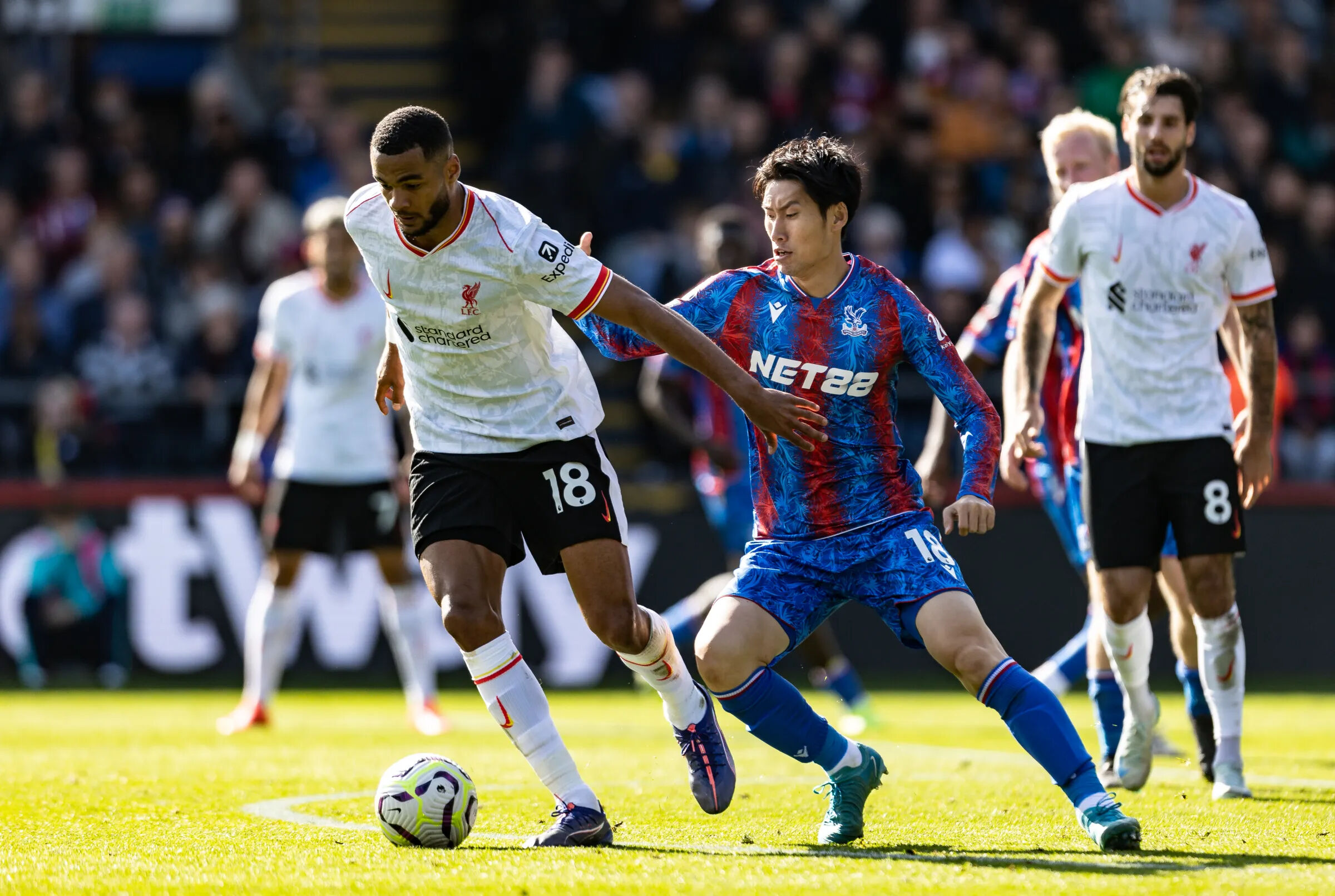 Crystal Palace - Liverpool maçı hangi kanalda, nerede izlenir? Galatasaray maçı öncesi büyük karşılaşma! Crystal Palace - Liverpool maçı hangi kanalda, nerede izlenir? Galatasaray maçı öncesi büyük karşılaşma! - 1. Resim