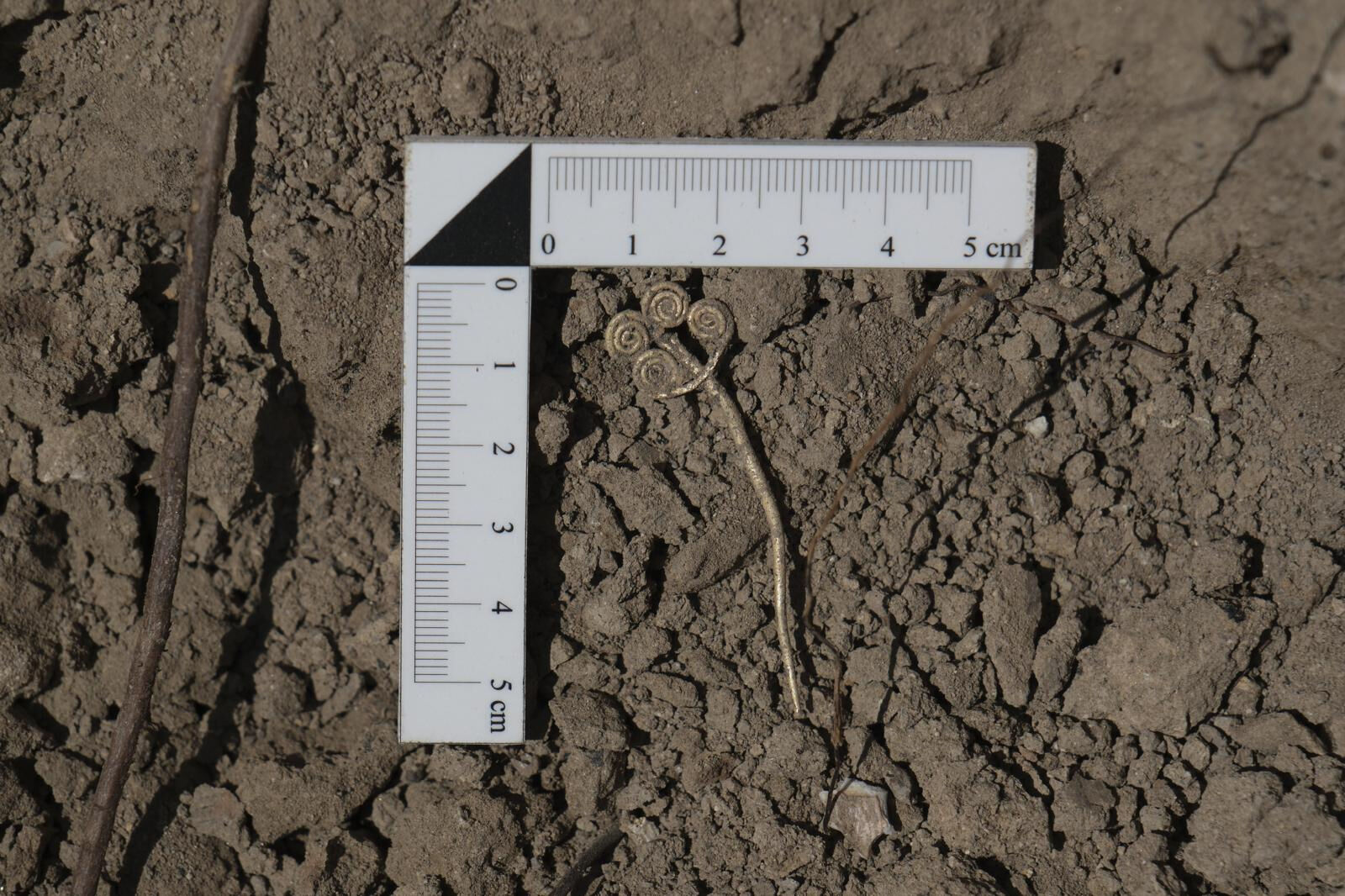 Troya kazılarında dünya literatürüne girecek keşif! Binlerce yıllık altın broş ve yeşim taşı bulundu - 2. Resim