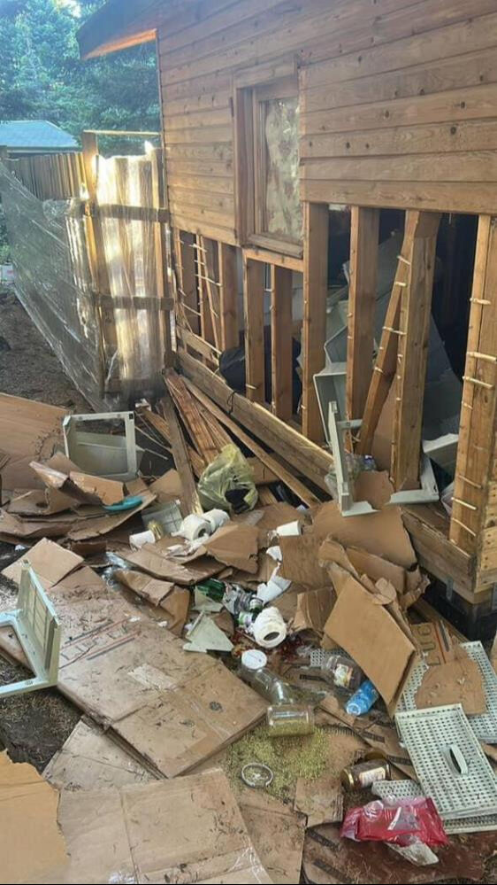 Uludağ'da ayılar barakaları savaş alanına çevirdi - 1. Resim