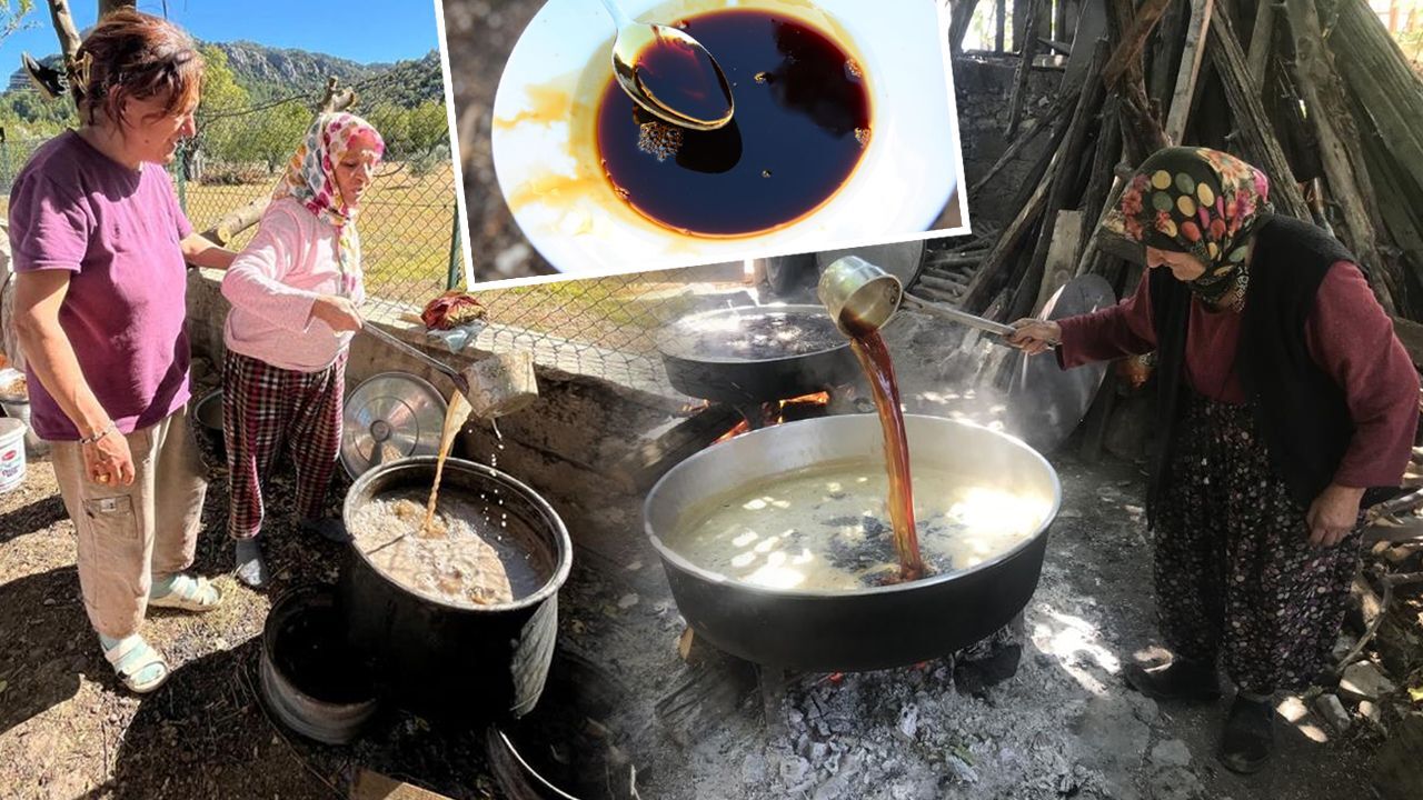 Yaşam