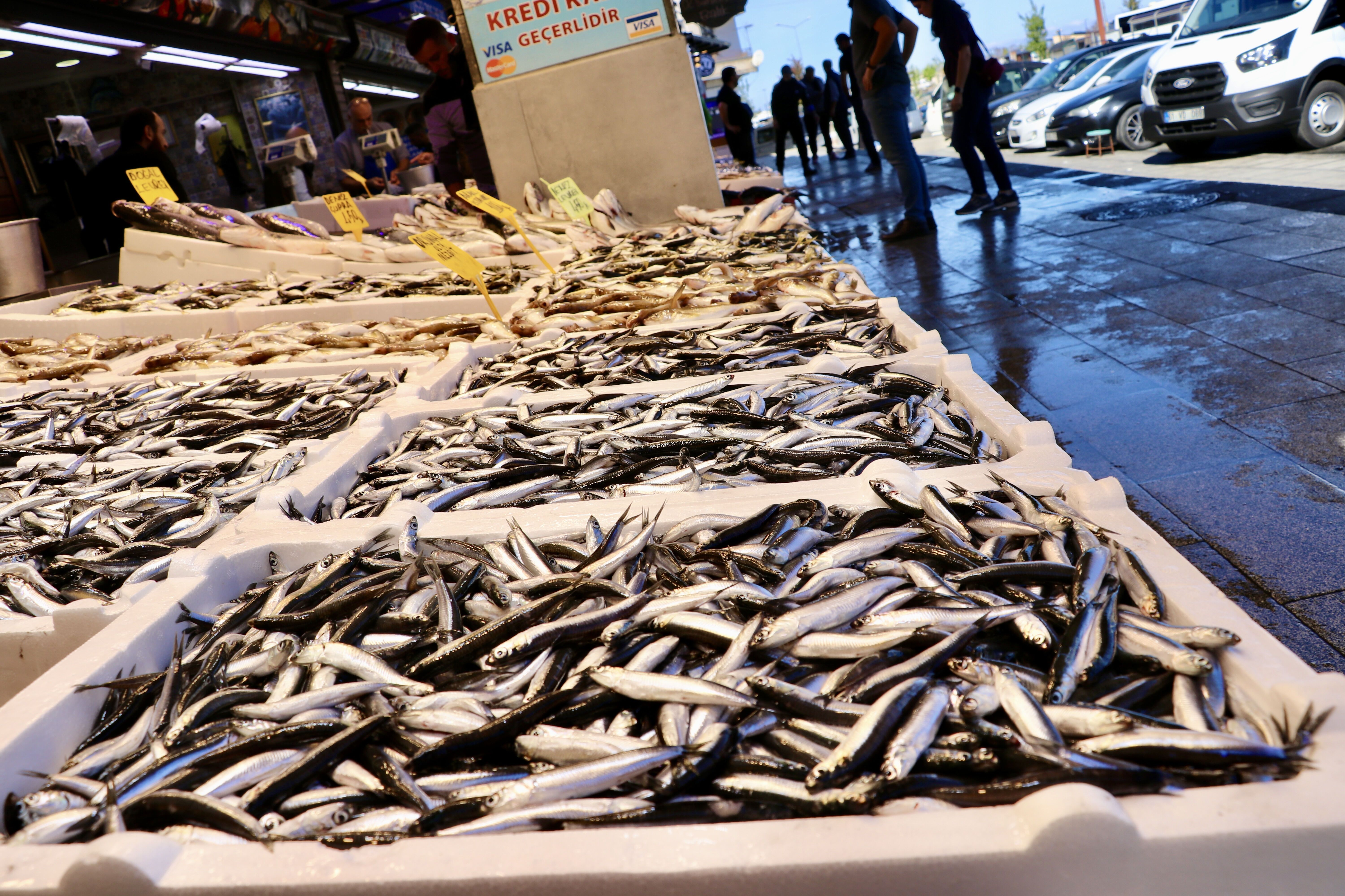 Kışa girerken balık fiyatları düşüyor! Trabzon'da sezon erken açıldı - 2. Resim