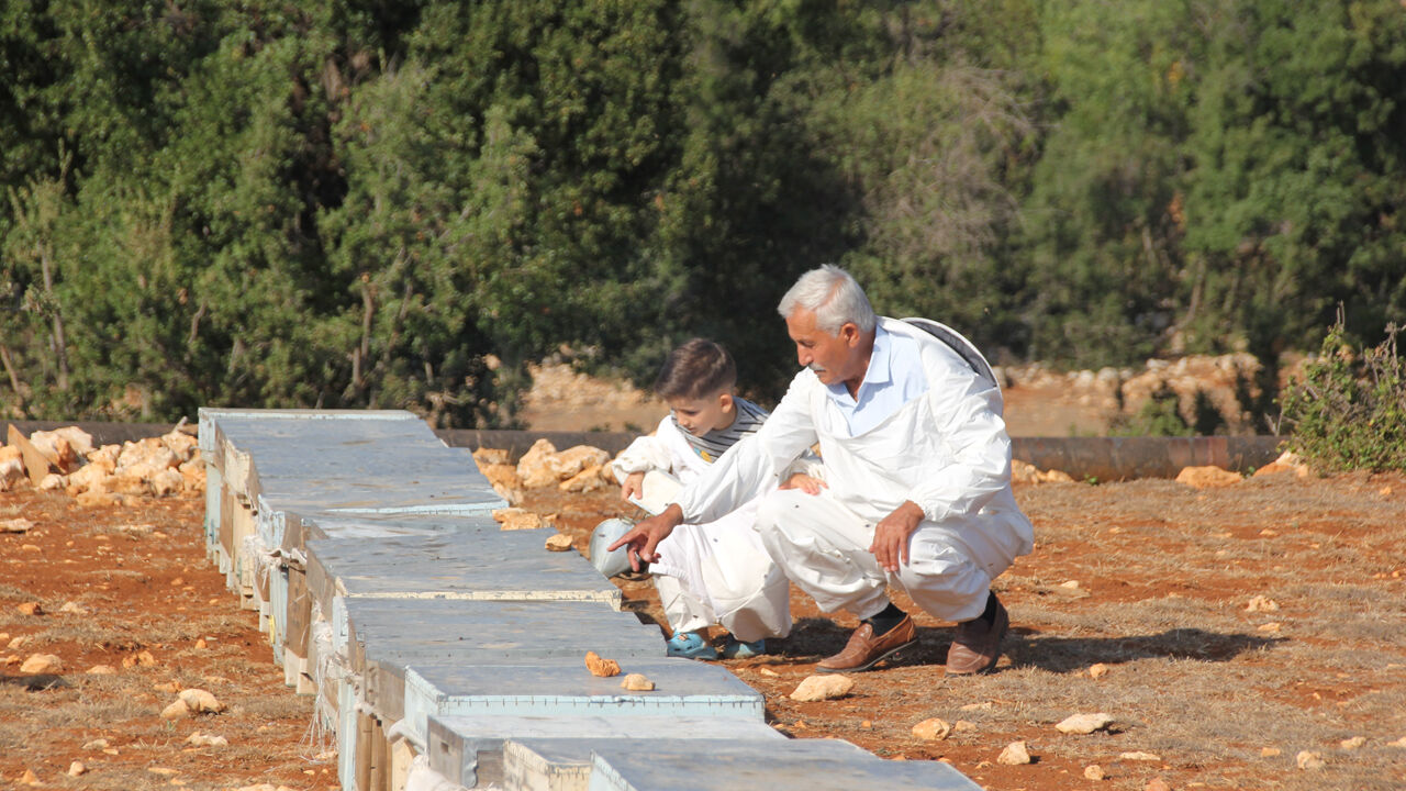 Mersin'de ürettikleri bal Fransa ve İngiltere'den ödülle döndü! "Bu kaliteyi gelecek nesillere aktaracağız" - 2. Resim