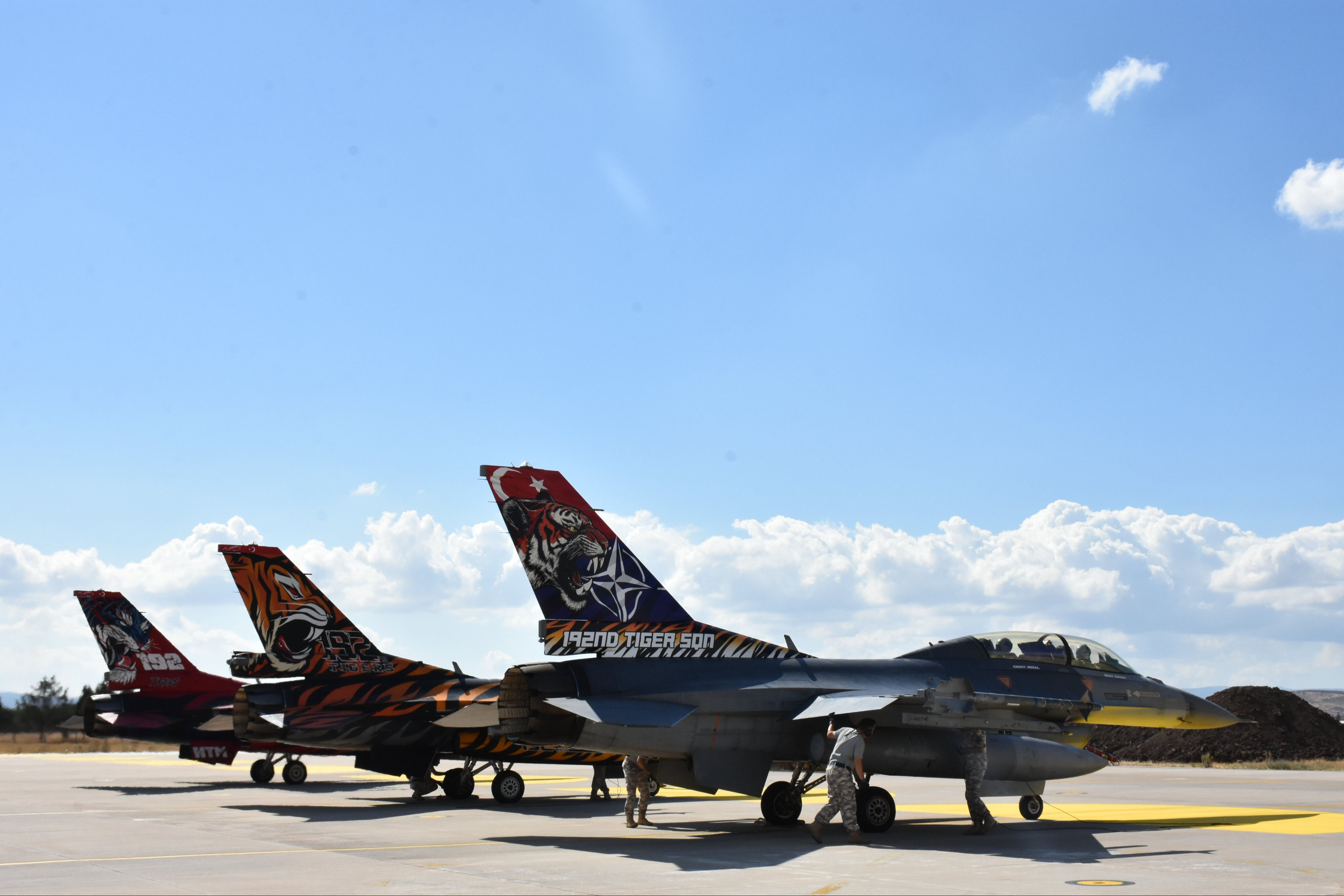 Türk Hava Kuvvetleri'nden NATO'da gövde gösterisi! Tiger Meet 2025 Tatbikatı’nda boy gösterdiler - 3. Resim