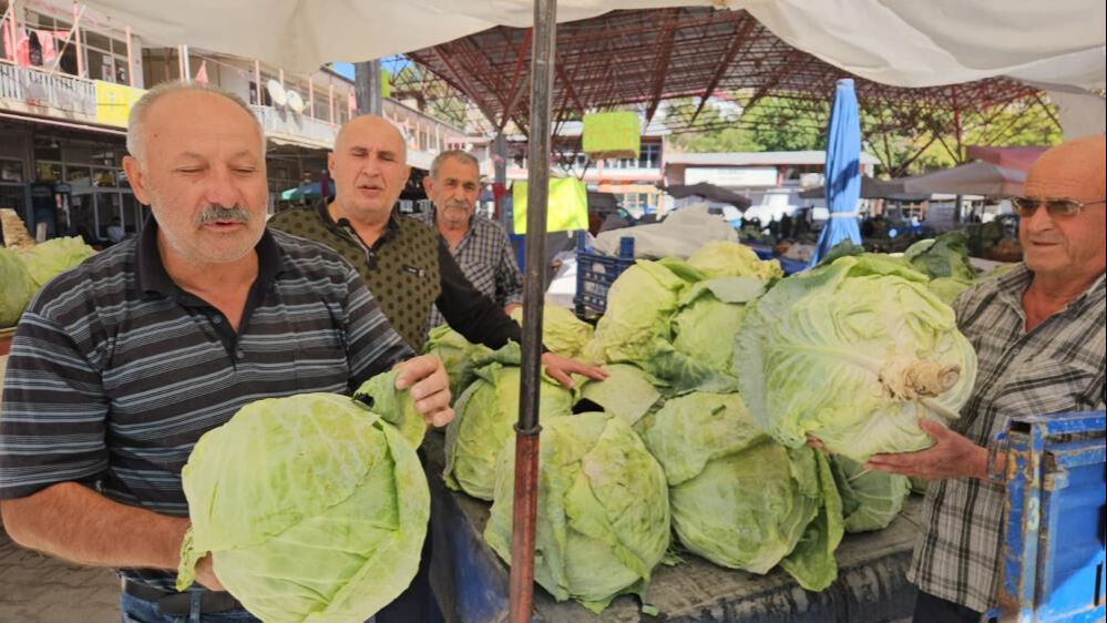 Malatya'da ata tohumu ile yetiştirilen lahanada hasat başladı! Tanesi 200 lira, bir alan bir daha geliyor - 3. Resim