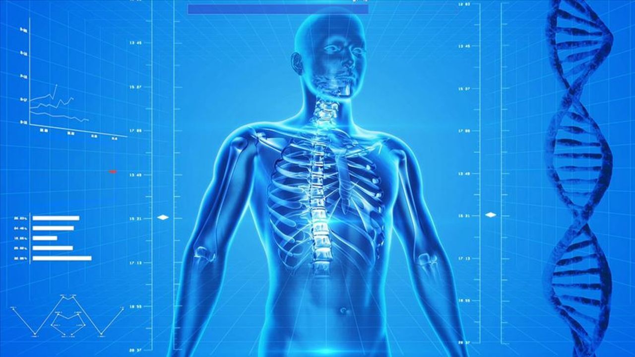 Mikroplastik tehlikesi büyüyor! Kemiklerden beyin dokularına kadar vücudu sarıyor