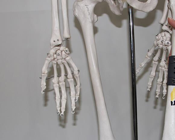 Mikroplastik tehlikesi b&uuml;y&uuml;yor! Kemiklerden beyin dokularına kadar ulaşıyor - 2. Resim