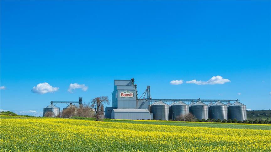 Piliç eti sektörüne ceza yağdı! Banvit'ten açıklama geldi - 1. Resim