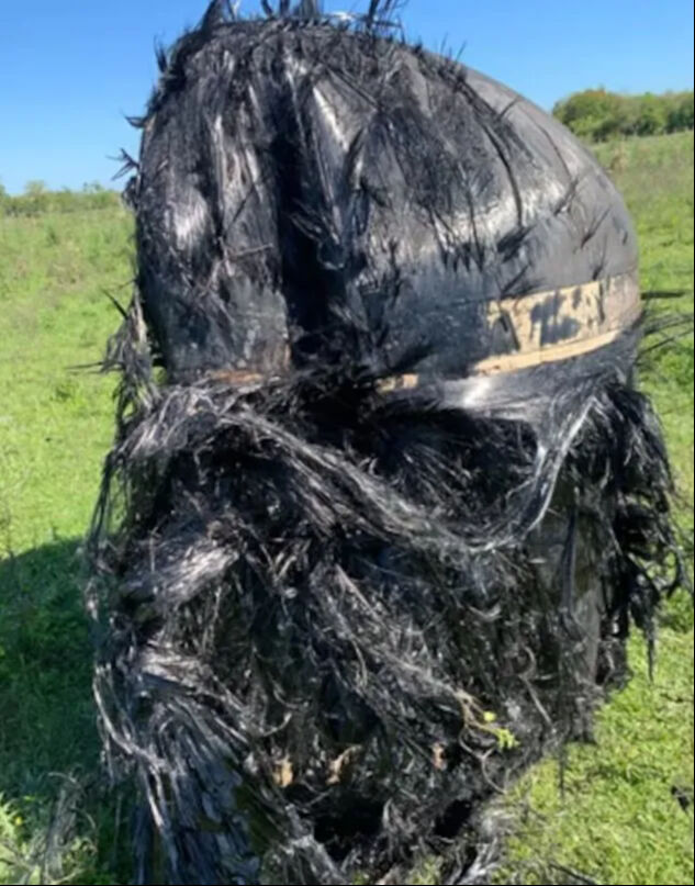 Uzaydan gelen gizemli cisim Arjantin'i ayağa kaldırdı! Kaynağı hala çözülemiyor - 1. Resim