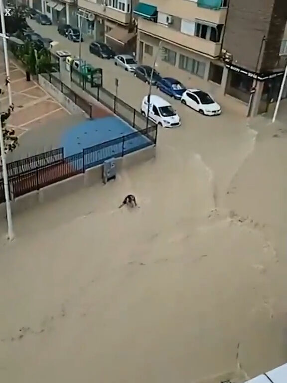 İspanya'yı sel vurdu! Sokaklar göle döndü, çatılar uçtu - 1. Resim