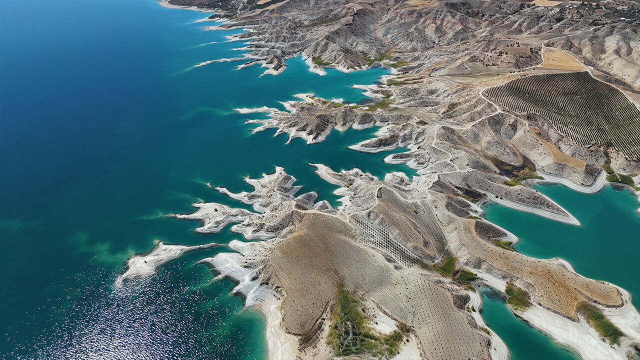 Türkiye'nin en büyük sulama kanalı Atatürk Barajı'nda görülmemiş manzara: İlk kez karşılaştık - 5. Resim