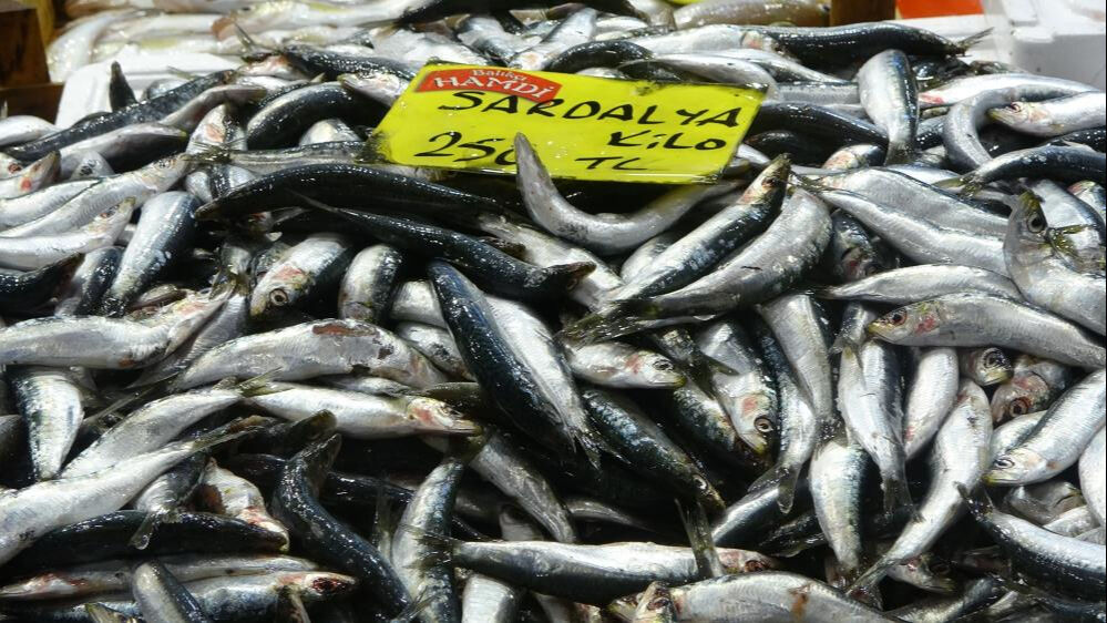 Balıkçılar müjdeli haberi verdi! Fiyatlara anında yansıdı, bolluk bekleniyor - 1. Resim