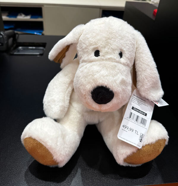 Çocuklar için boğulma riski var! Ticaret Bakanlığı harekete geçti, ünlü markanın ürünü toplatılıyor - 1. Resim