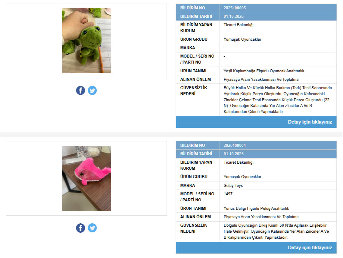 Temizlik spreyi, oda kokusu, oyuncak! Bakanlık satışını yasakladı, raflardan toplatılıyor - 3. Resim