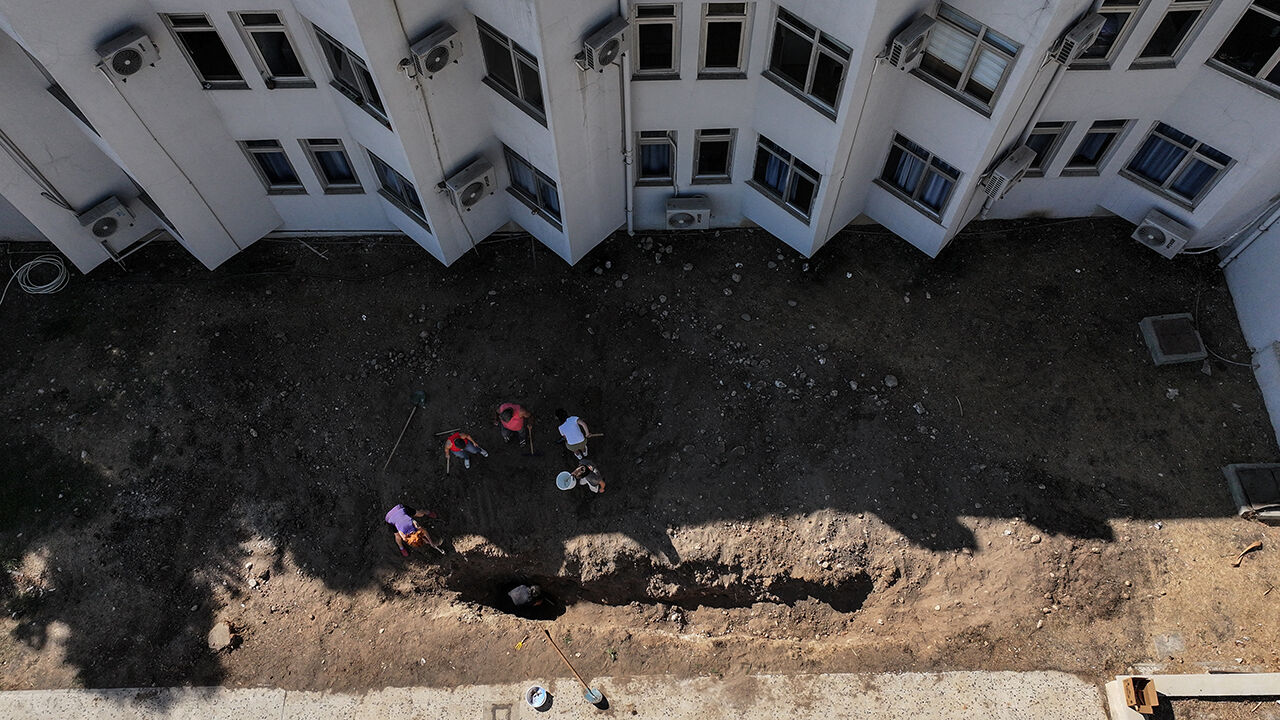 415 öğrenci gönüllü oldu! Fin balinası iskeletinin gün yüzüne çıkması için kazılar başladı - 1. Resim