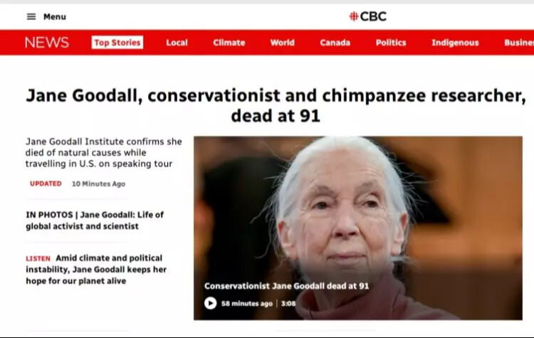 İsrail, Gazze'ye yardım taşıyan Sumud Filosu'na saldırdı! Birçok ülkede protestolar başladı - 8. Resim