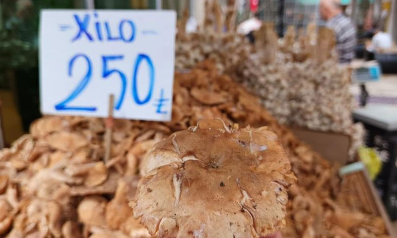 Kavurması, turşusu, mıhlaması… Sezonun gözdesi tirmit: Kilosu 250 TL’ye düştü - 2. Resim