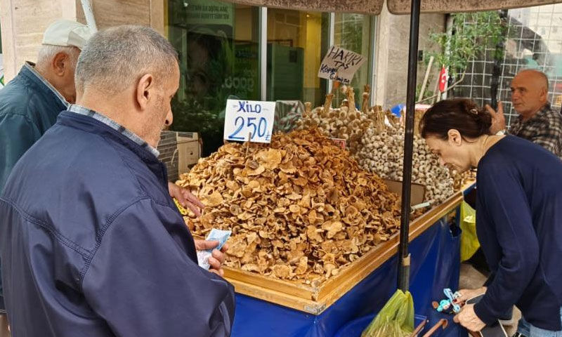 Kavurması, turşusu, mıhlaması… Sezonun gözdesi tirmit: Kilosu 250 TL’ye düştü - 1. Resim
