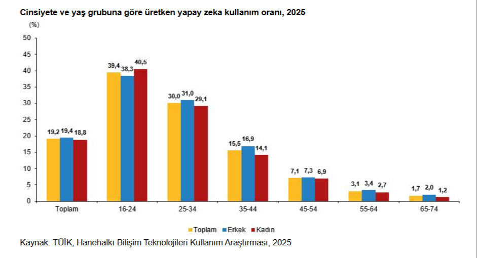 TÜİK bu istatistikleri ilk kez yayınladı: Türkiye'nin yapay zeka kullanma tablosu ortaya çıktı - 4. Resim