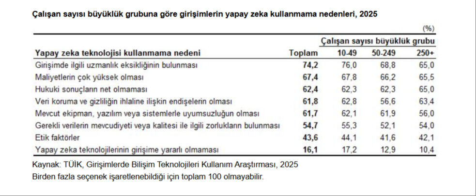 TÜİK bu istatistikleri ilk kez yayınladı: Türkiye'nin yapay zeka kullanma tablosu ortaya çıktı - 5. Resim