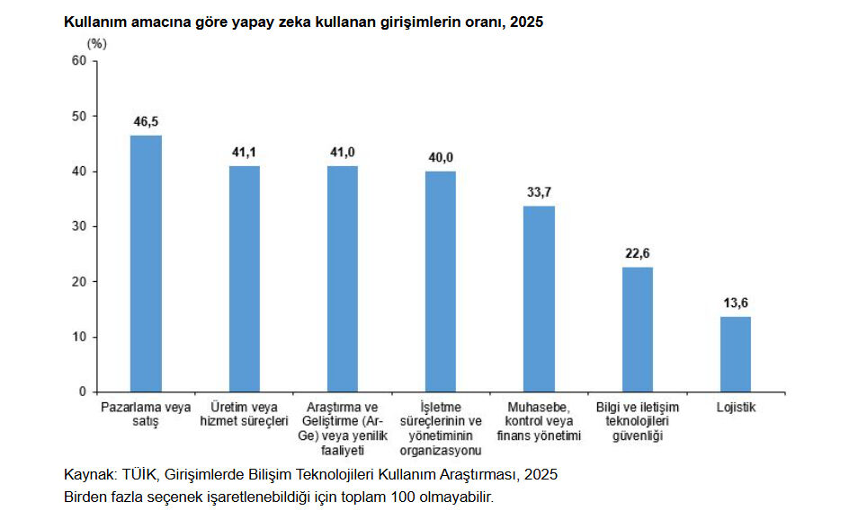 TÜİK bu istatistikleri ilk kez yayınladı: Türkiye'nin yapay zeka kullanma tablosu ortaya çıktı - 3. Resim