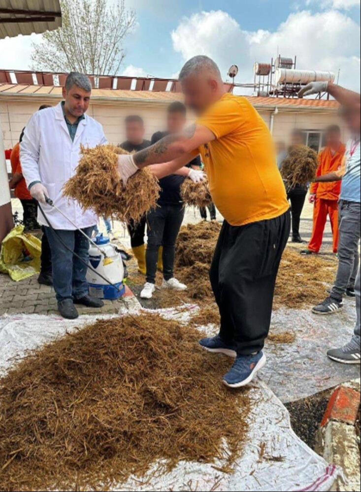 100 gramı 1.500 lira! Faydaları saymakla bitmiyor, cezaevinde seri üretime geçilecek - 6. Resim