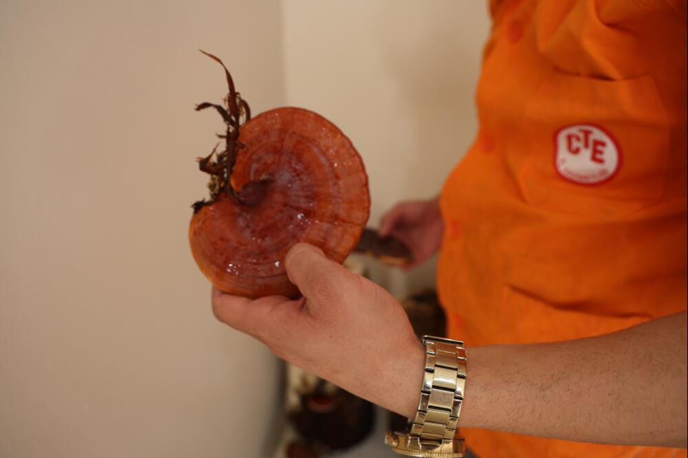 100 gramı 1.500 lira! Faydaları saymakla bitmiyor, cezaevinde seri üretime geçilecek - 5. Resim