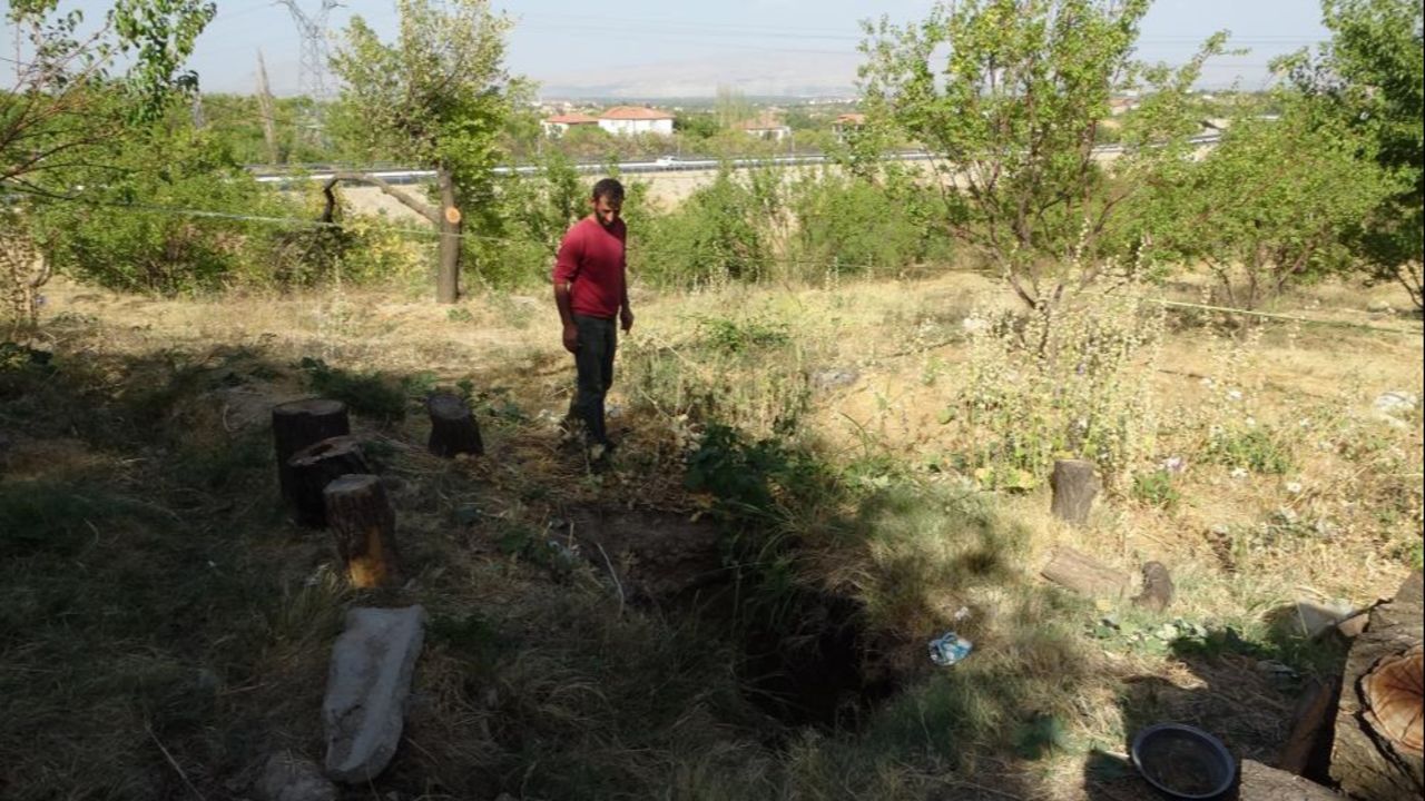 Yaşam