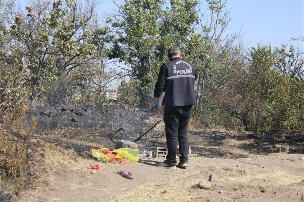 Kayseri'de sıcak saatler! Patlıcan, biber közlerken orman yaktılar - 1. Resim