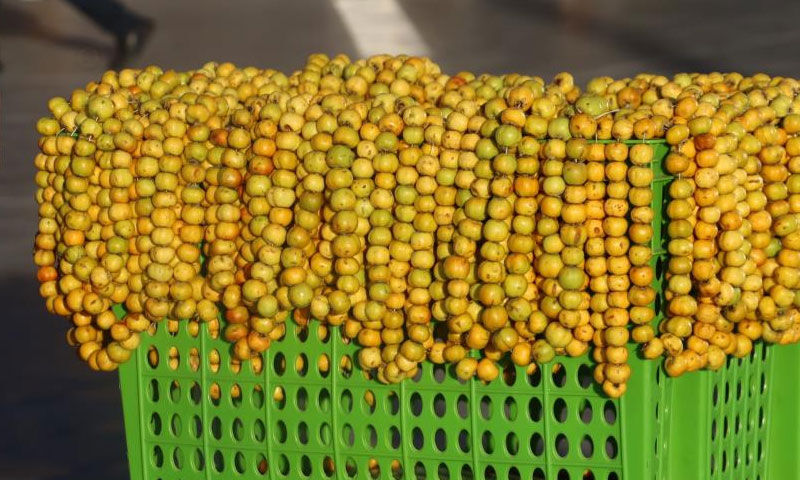 Kimine şifa, kimine geçim kaynağı: Prostat ve tansiyona iyi geliyor - 2. Resim