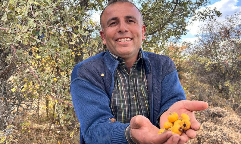 Kimine şifa, kimine geçim kaynağı: Prostat ve tansiyona iyi geliyor - 1. Resim