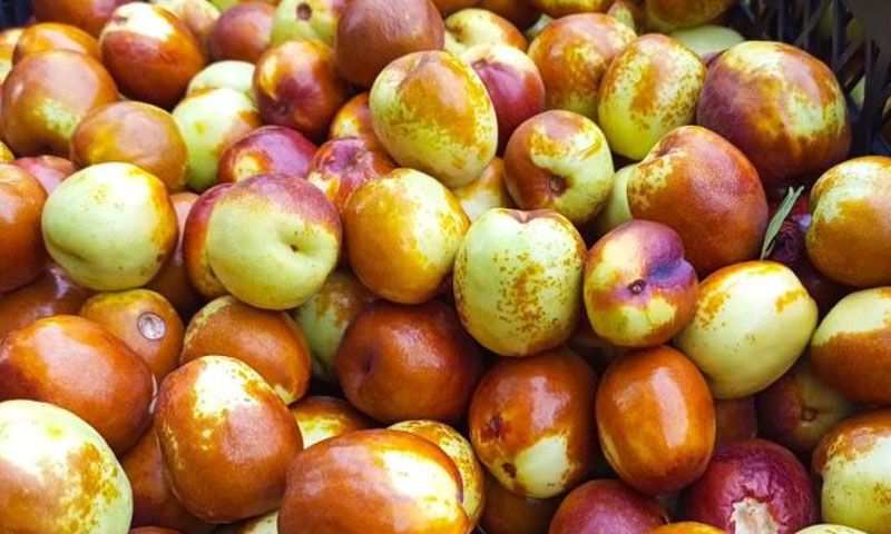 Tek çekirdekli şifa: Ona ‘hayat meyvesi’ diyorlar, her şeye faydalı - 2. Resim