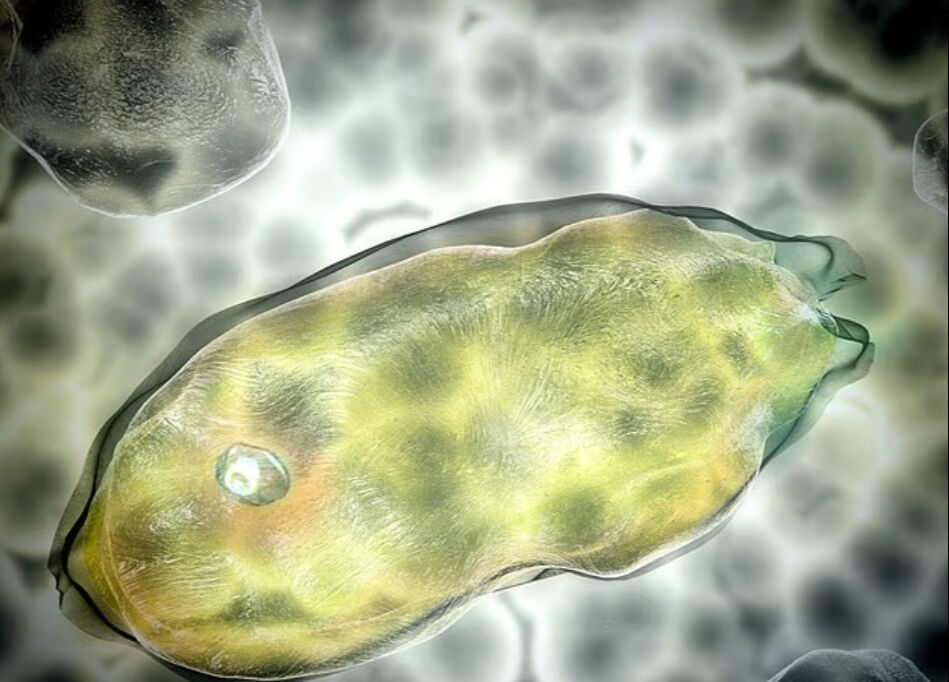 40 bin yıllık mikroorganizma hayata döndürüldü: Yeni bir salgını tetikleyebilir! - 2. Resim