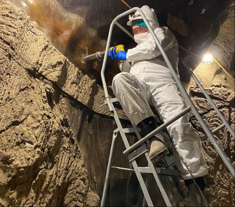 40 bin yıllık mikroorganizma hayata döndürüldü: Yeni bir salgını tetikleyebilir! - 1. Resim