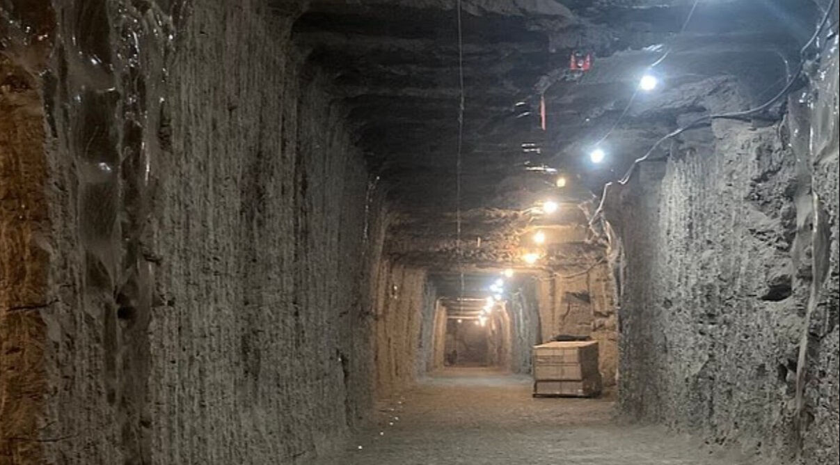 40 bin yıllık mikroorganizma hayata döndürüldü: Yeni bir salgını tetikleyebilir! - 3. Resim