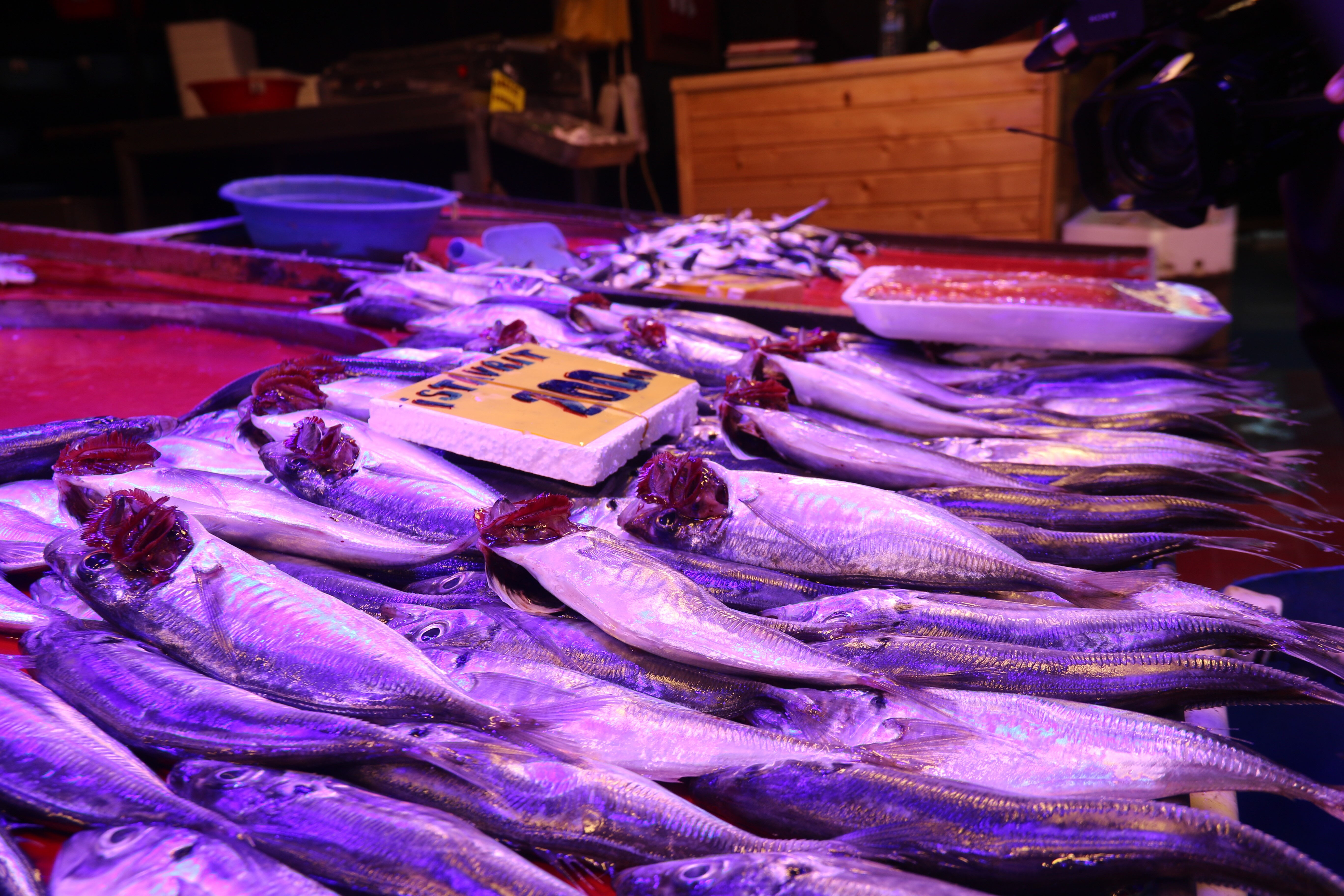 Bozuk balık 'çolak' bıraktı: Çuprayla adam dövdüler! - 1. Resim