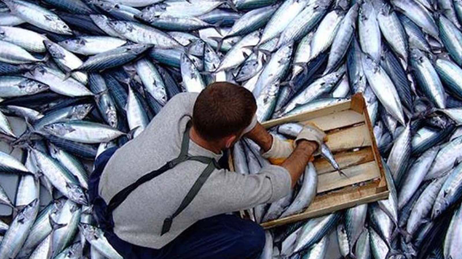 Kış mevsimi yaklaştı, fiyatlar arttı! Tezgahta en ucuzunun kilosu 200 TL'den satılıyor - 2. Resim