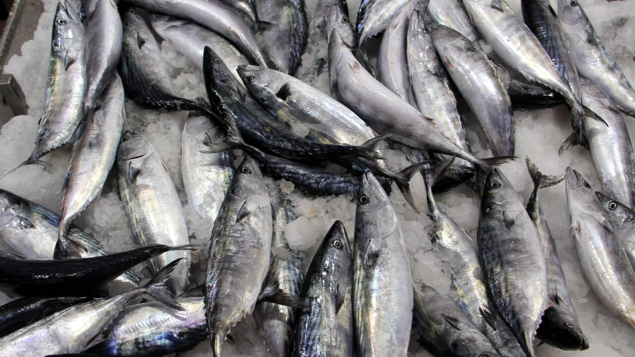 Kış mevsimi yaklaştı, fiyatlar arttı! Tezgahta en ucuzunun kilosu 200 TL'den satılıyor - 1. Resim