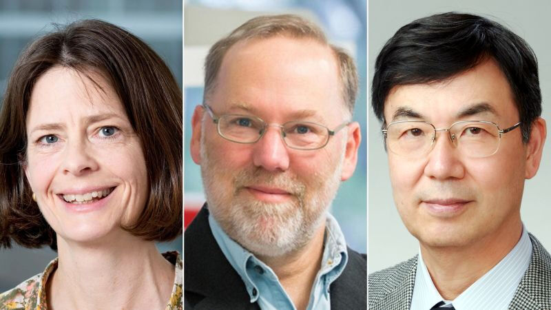 2025 Nobel Tıp Ödülü sahipleri belli oldu! Ödül “bağışıklık toleransı” keşfine gitti - 1. Resim