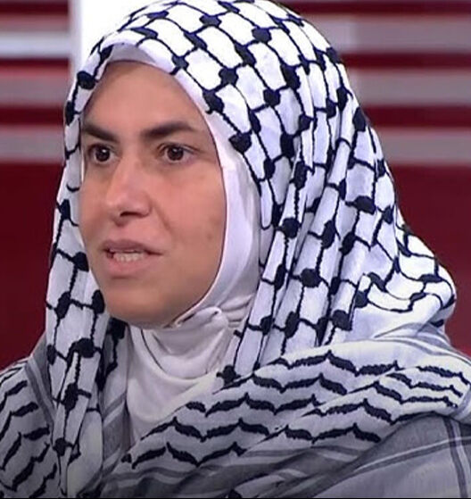 Aktivistler 'Türkiyeli siyonistleri' deşifre etti: Bizi sorgulayanlar Türkçe biliyordu Dilek Tekocak