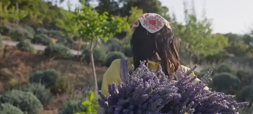 Benim Sakin Dünyam nerede çekiliyor? - 1. Resim