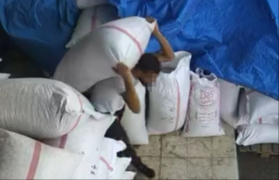 Gaziantep'teki fıstık hırsızı, şaşkına çevirdi: Yüzlerce kiloyu dakikalar içinde götürdü! - 1. Resim